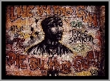 Graffiti, 2 Pac